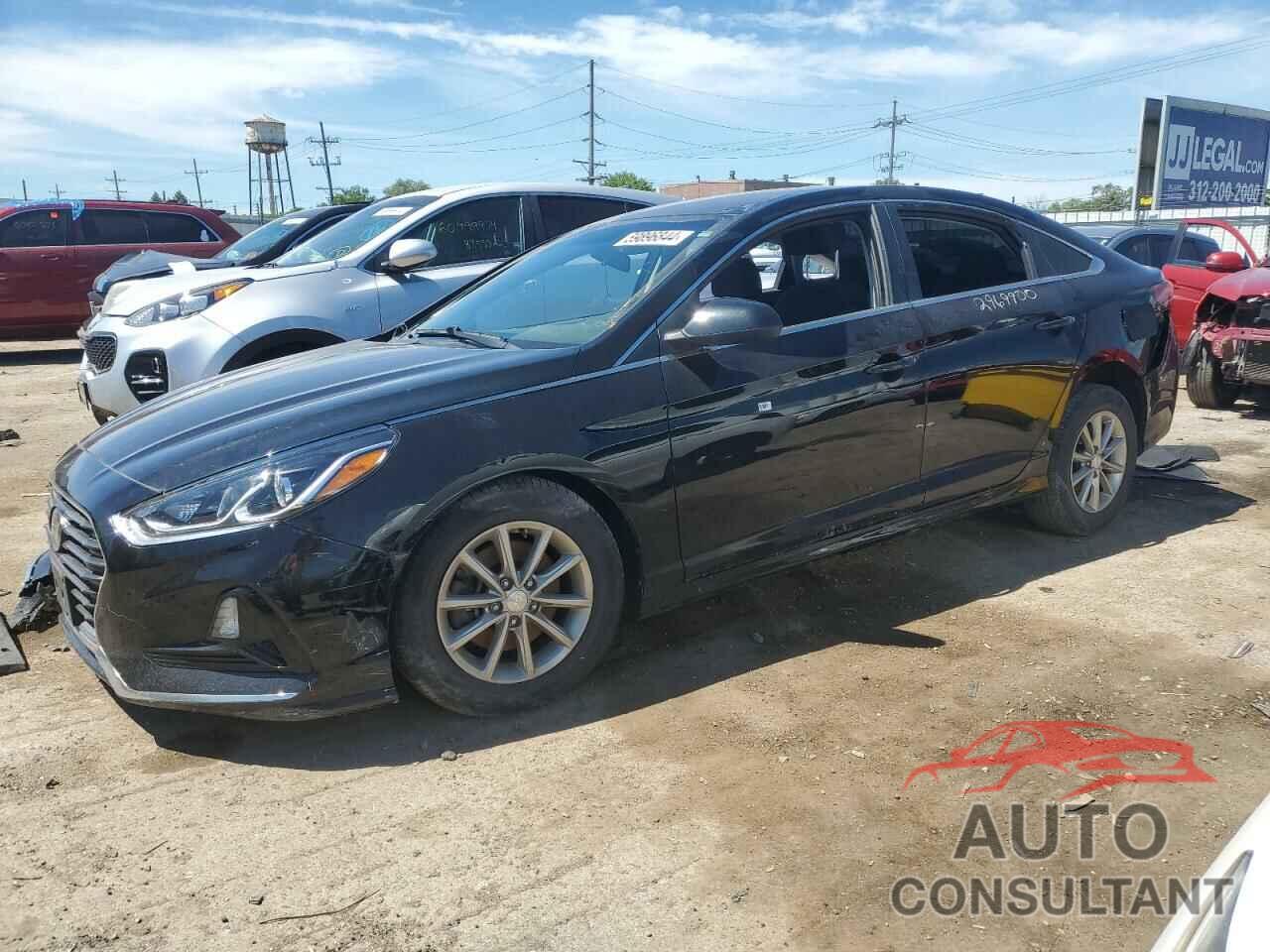 HYUNDAI SONATA 2019 - 5NPE24AF0KH773924