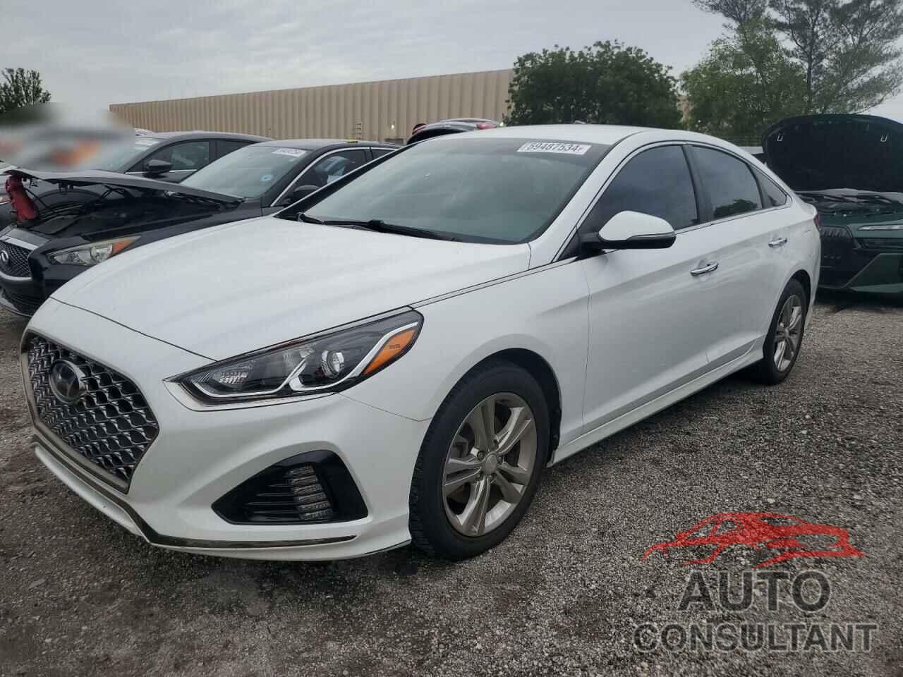 HYUNDAI SONATA 2019 - 5NPE34AF1KH819774