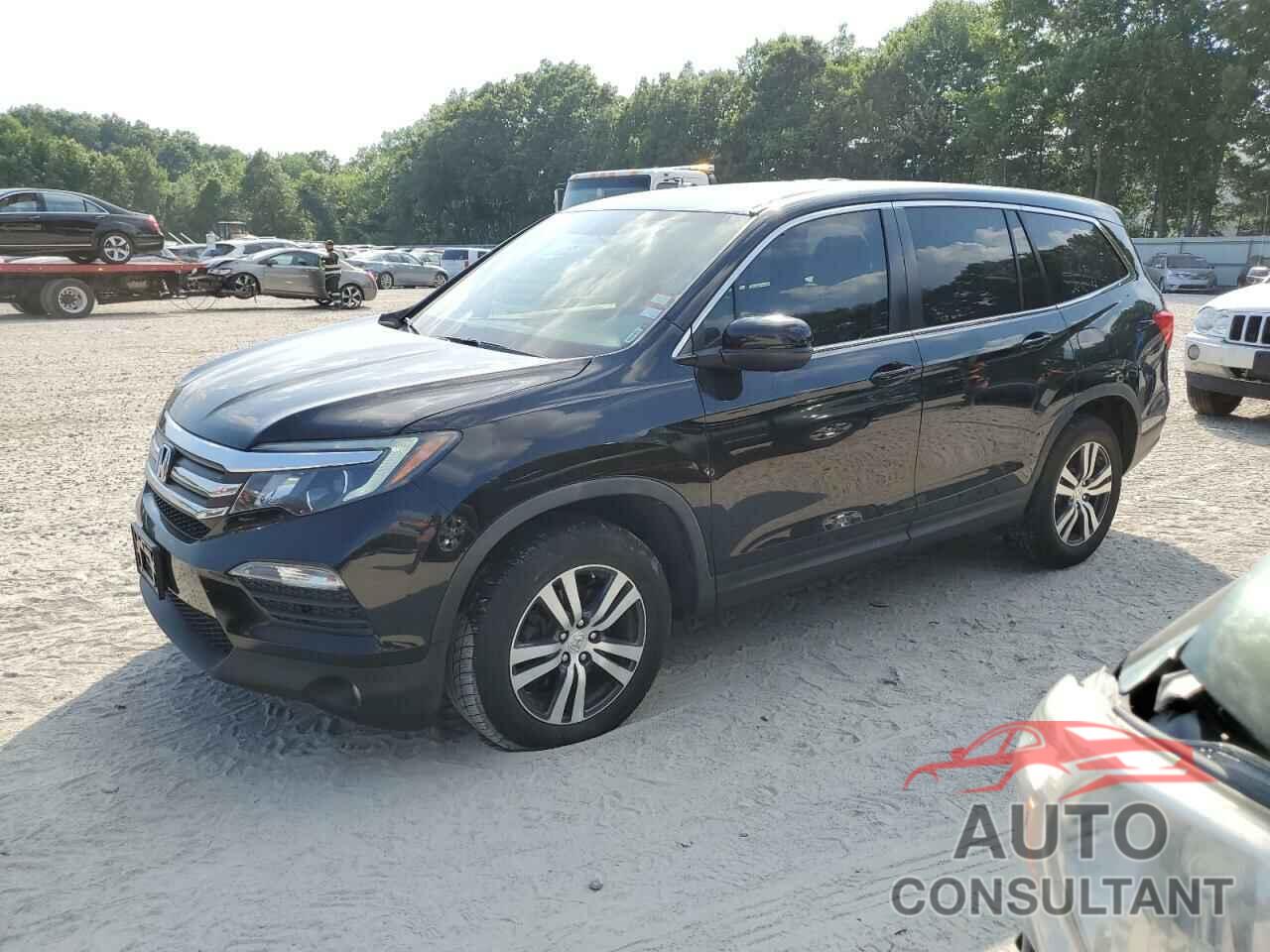 HONDA PILOT 2016 - 5FNYF6H31GB067849