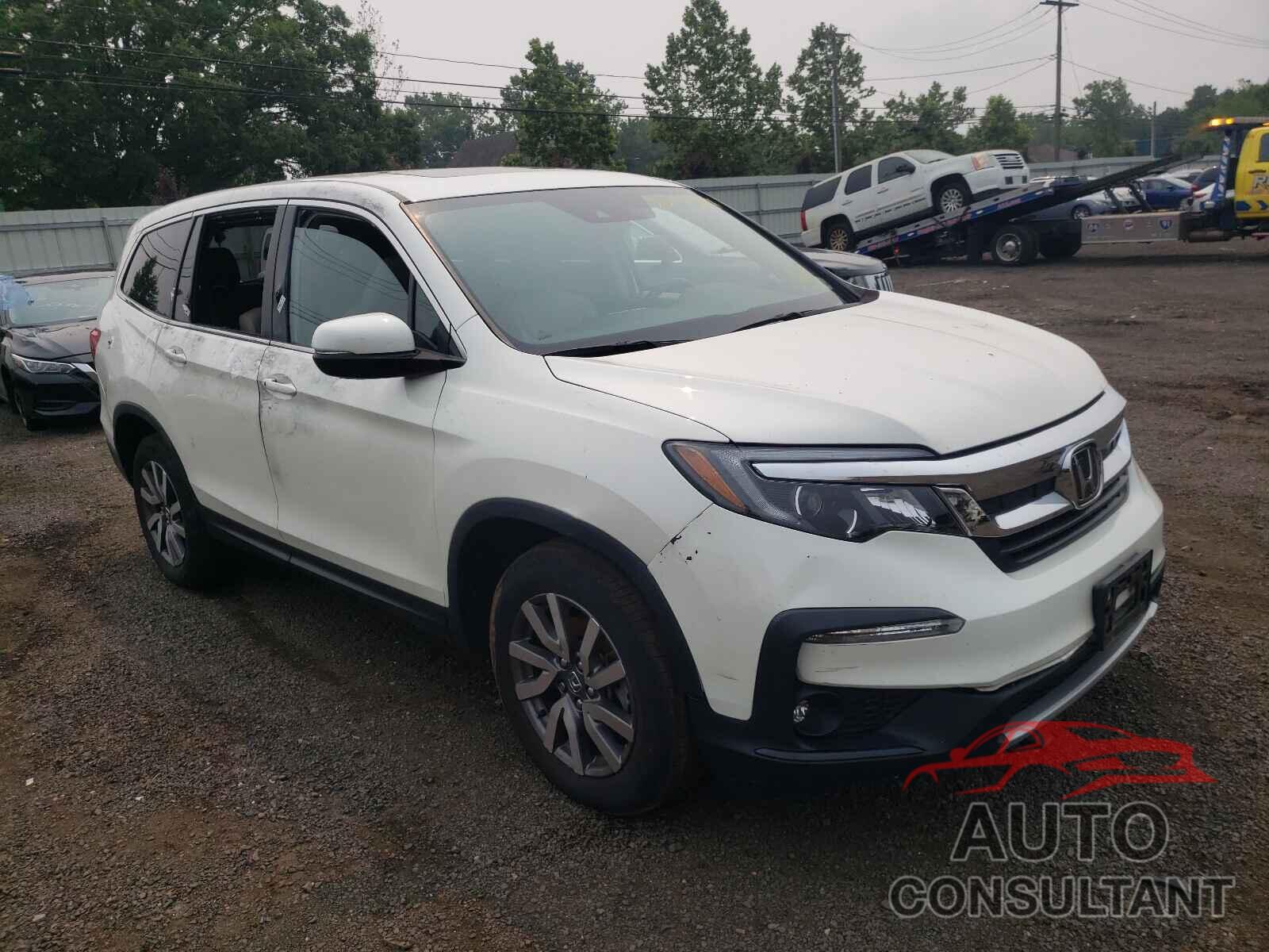 HONDA PILOT 2019 - 5FNYF6H45KB019353