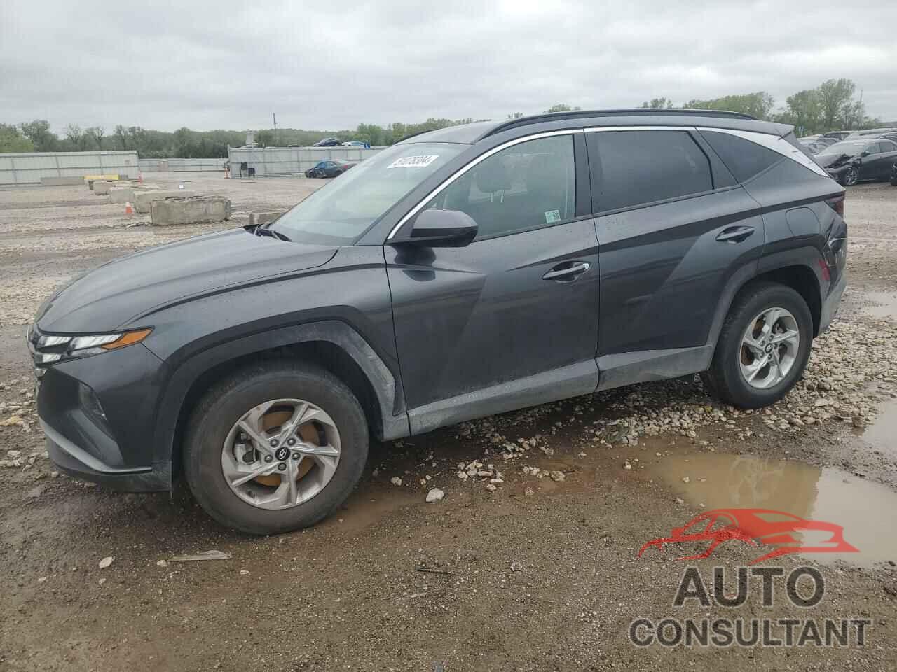 HYUNDAI TUCSON 2024 - 5NMJBCDE8RH363634