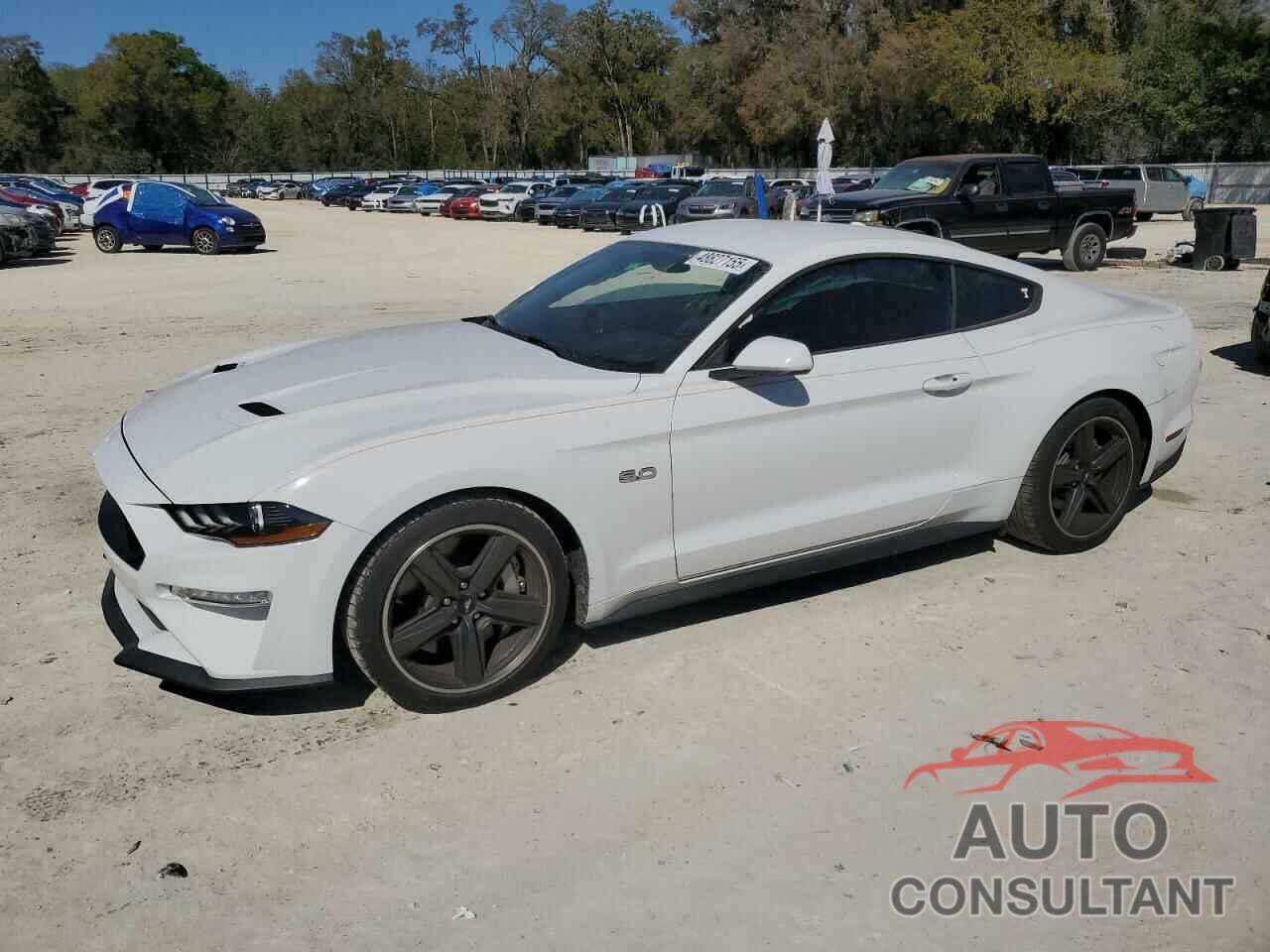 FORD MUSTANG 2019 - 1FA6P8CFXK5124549