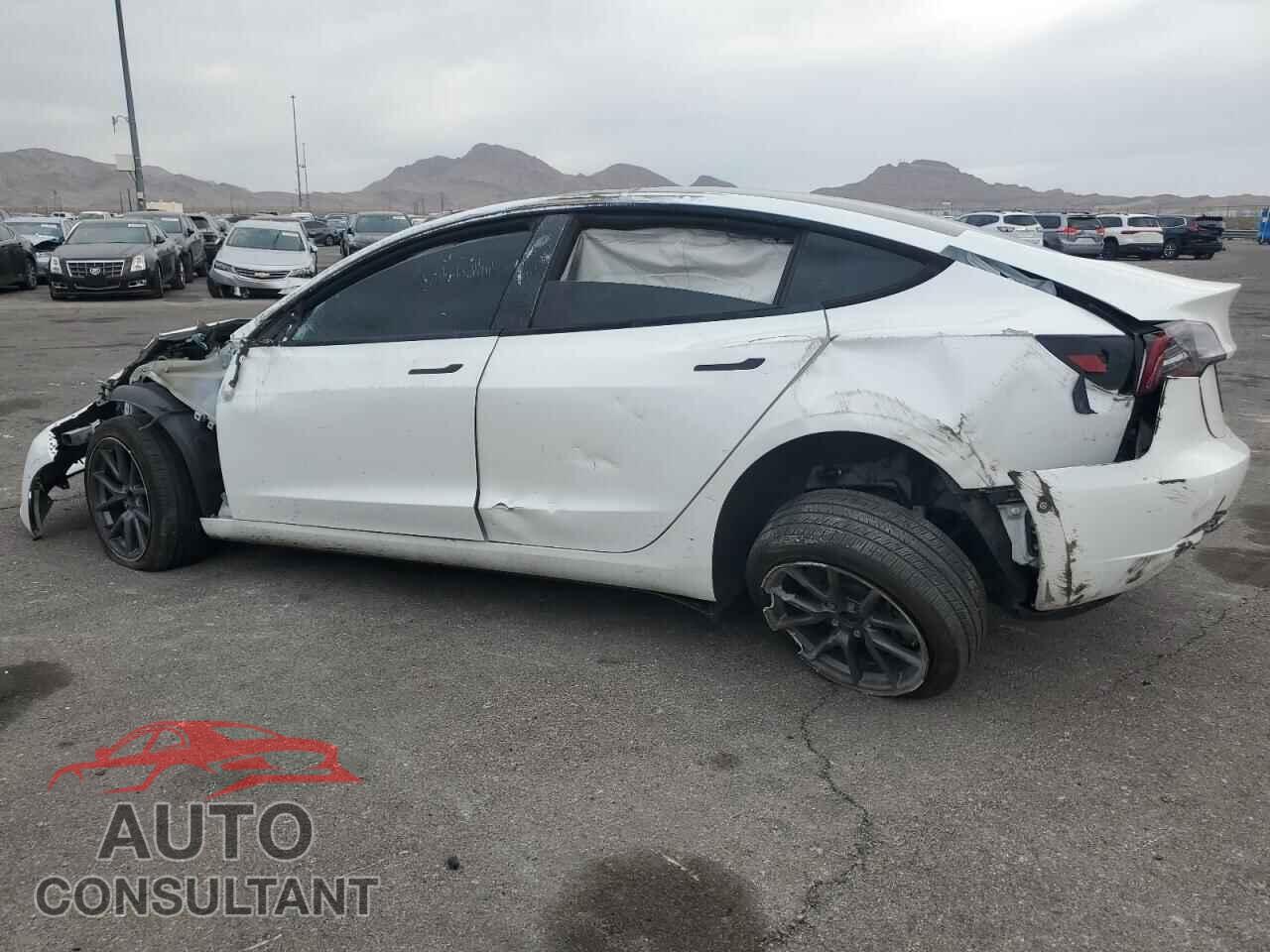 TESLA MODEL 3 2021 - 5YJ3E1EA9MF969079