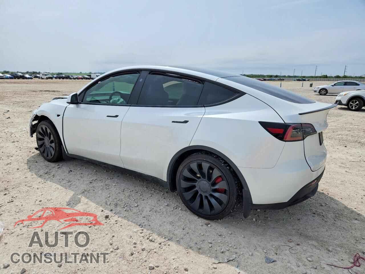 TESLA MODEL Y 2025 - 7SAYGDEF7SA339894