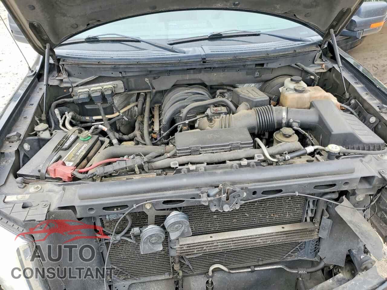 FORD All Models 2010 - 1FTEW1C84AFD60740