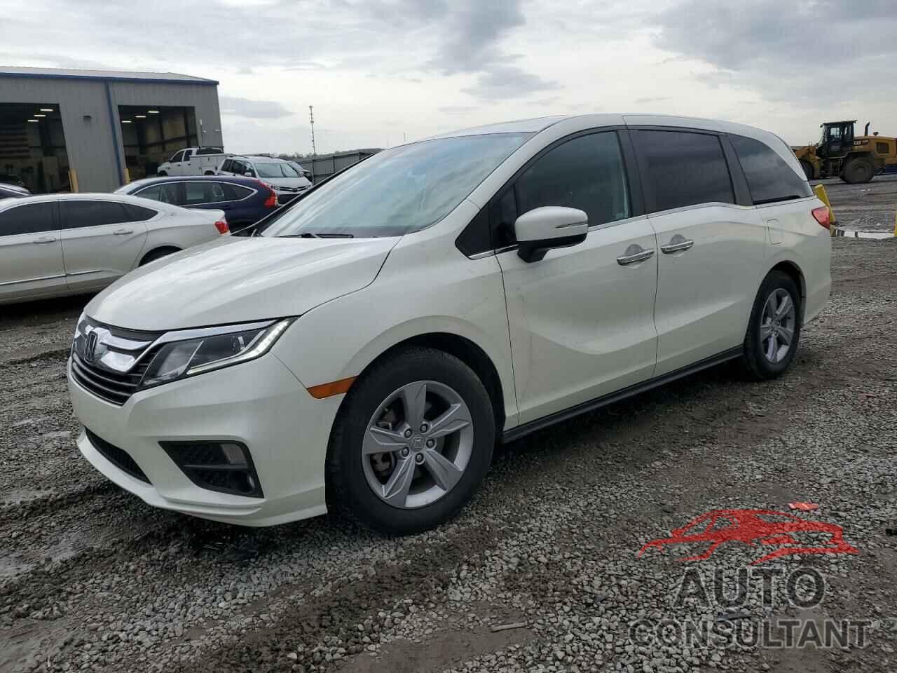 HONDA All Models 2019 - 5FNRL6H74KB090356