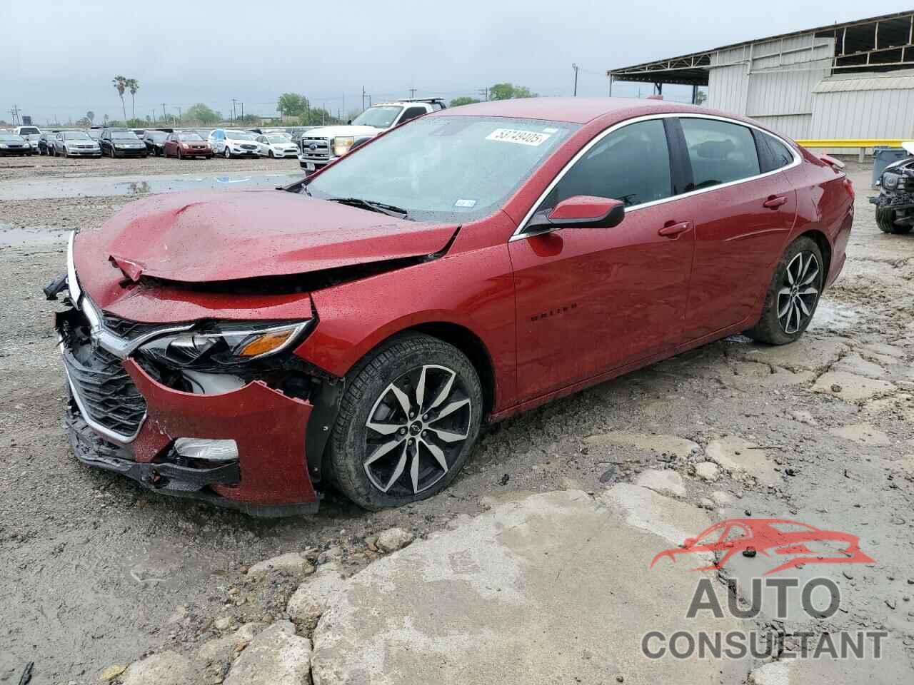 CHEVROLET MALIBU 2024 - 1G1ZG5ST2RF157815