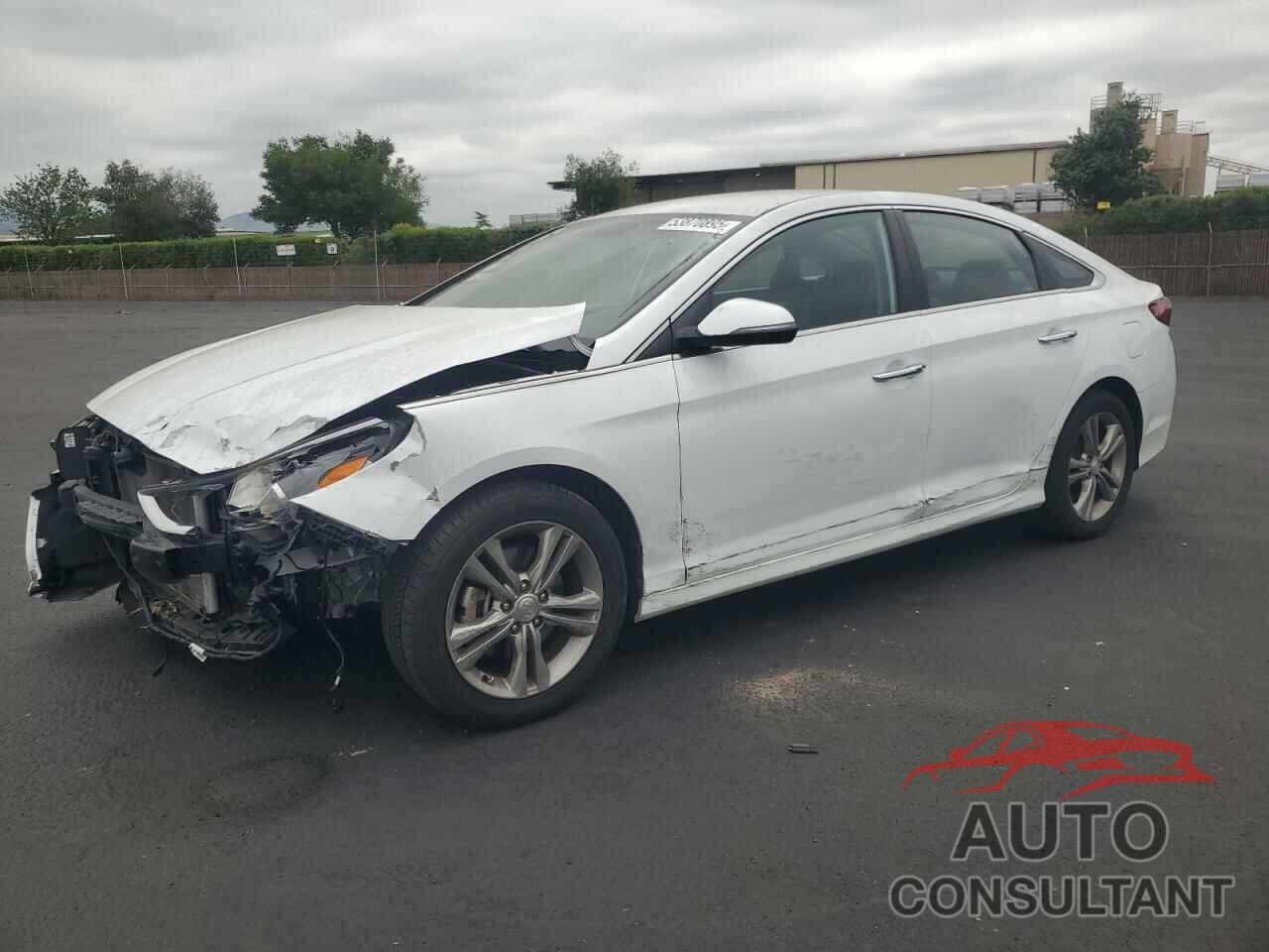 HYUNDAI SONATA 2018 - 5NPE34AF9JH637108