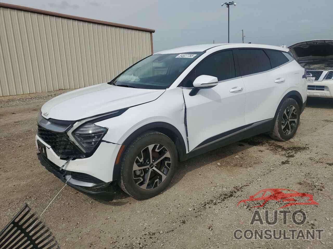 KIA SPORTAGE 2024 - 5XYK33DF4RG161040