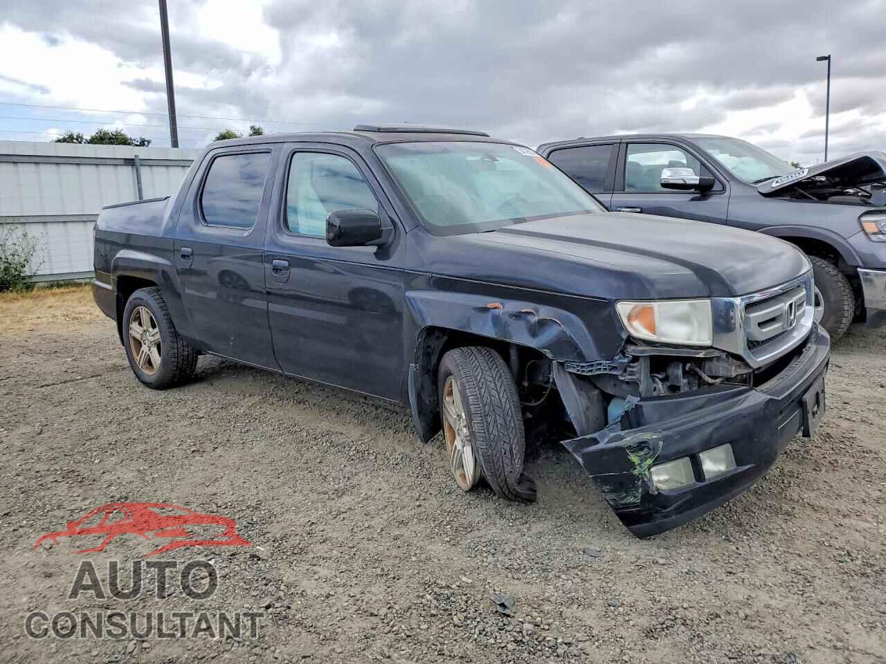 HONDA RIDGELINE 2009 - 5FPYK16559B106391