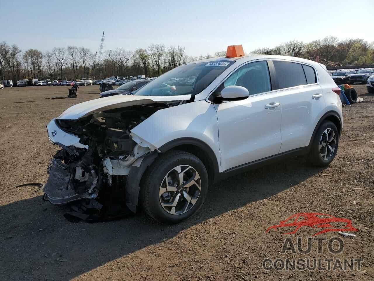 KIA SPORTAGE 2022 - KNDPM3AC5N7953511