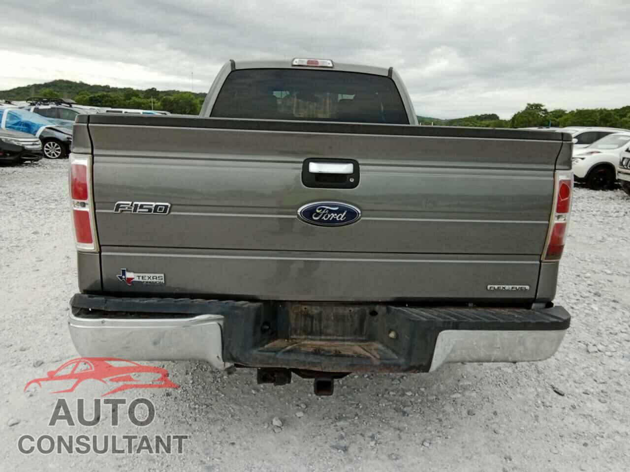 FORD F-150 2012 - 1FTFX1CF3CFC01789