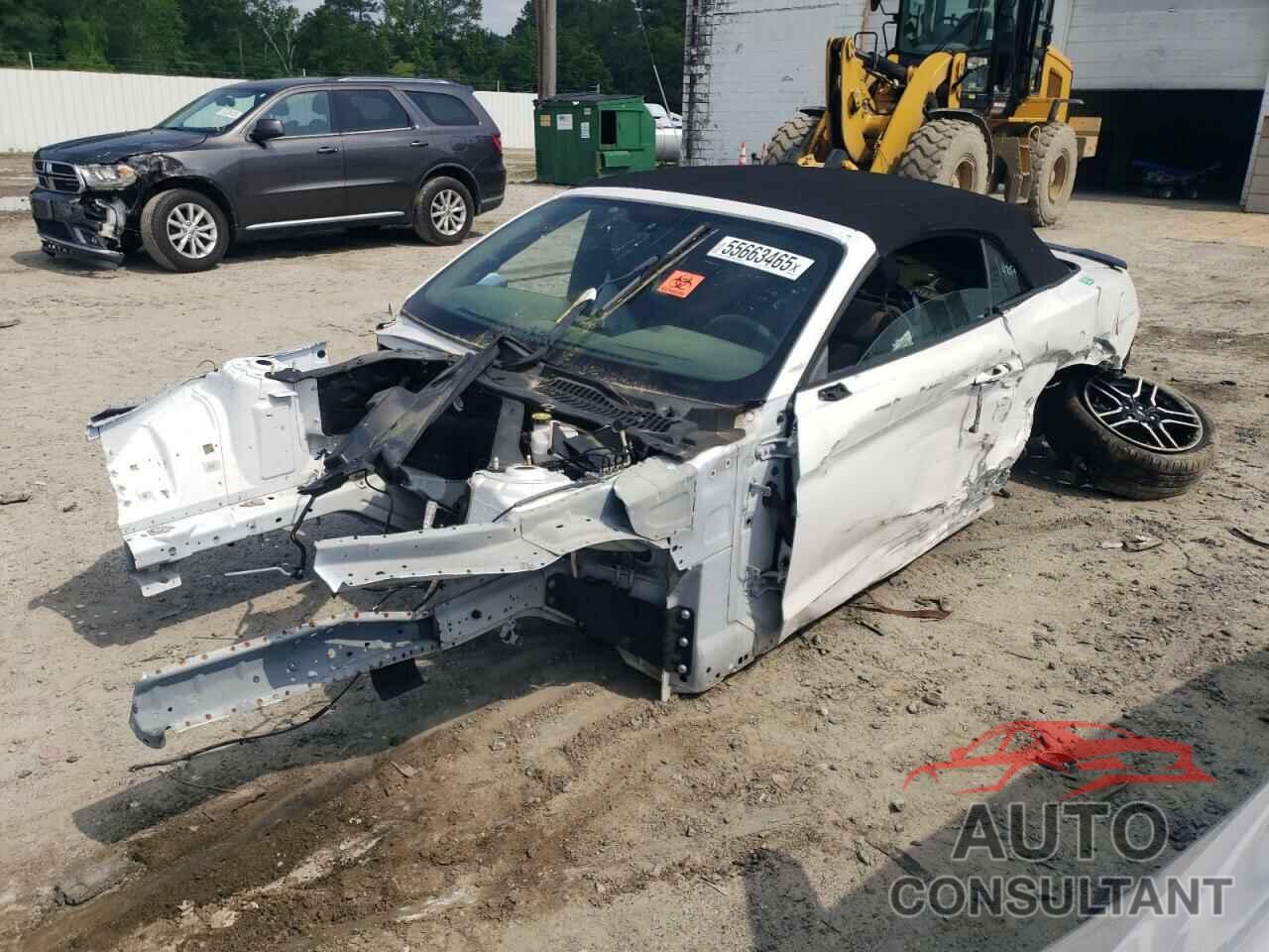 FORD MUSTANG 2019 - 1FATP8FF1K5171886