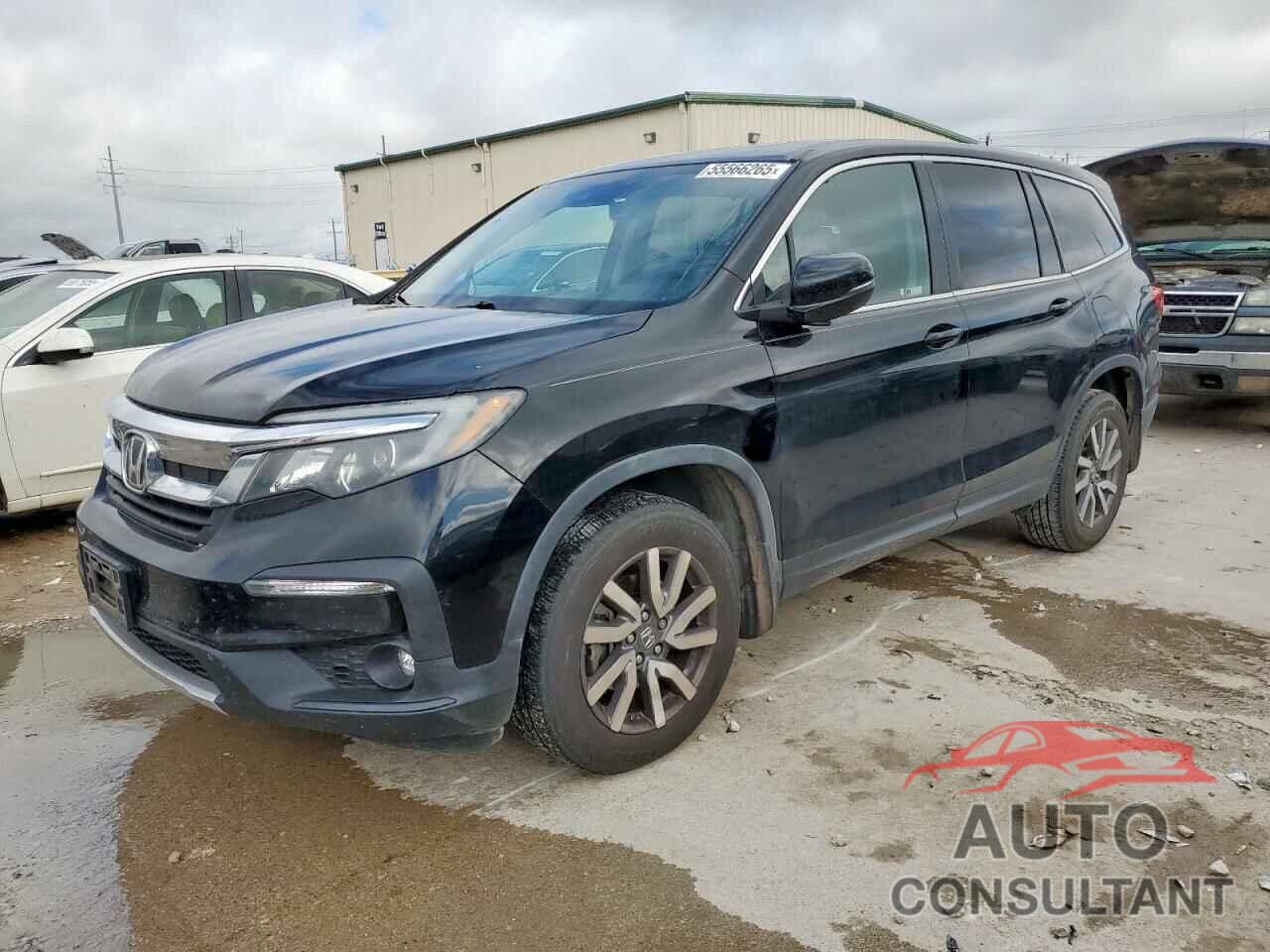 HONDA PILOT 2019 - 5FNYF5H56KB028968