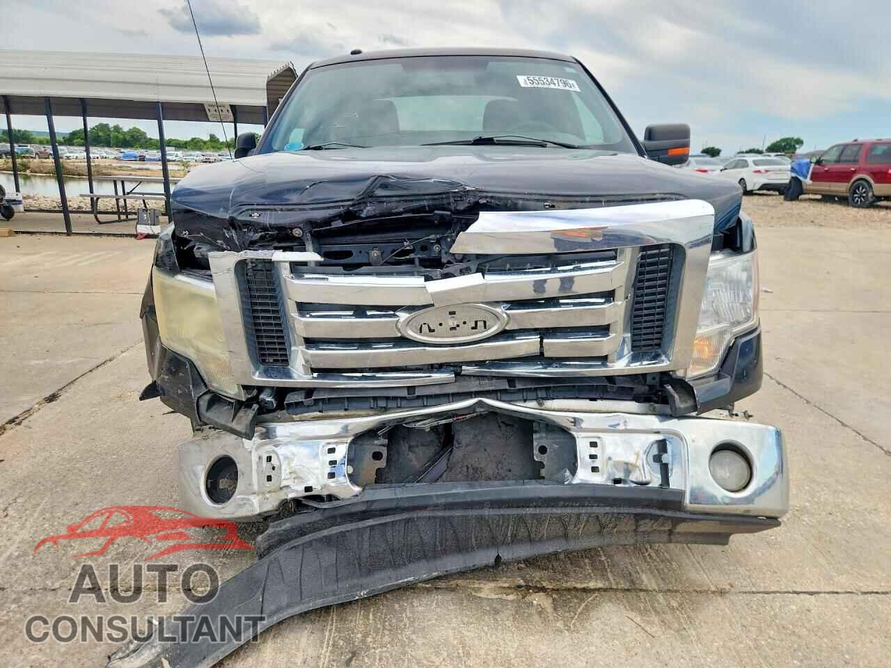 FORD All Models 2010 - 1FTEW1C83AFD17829