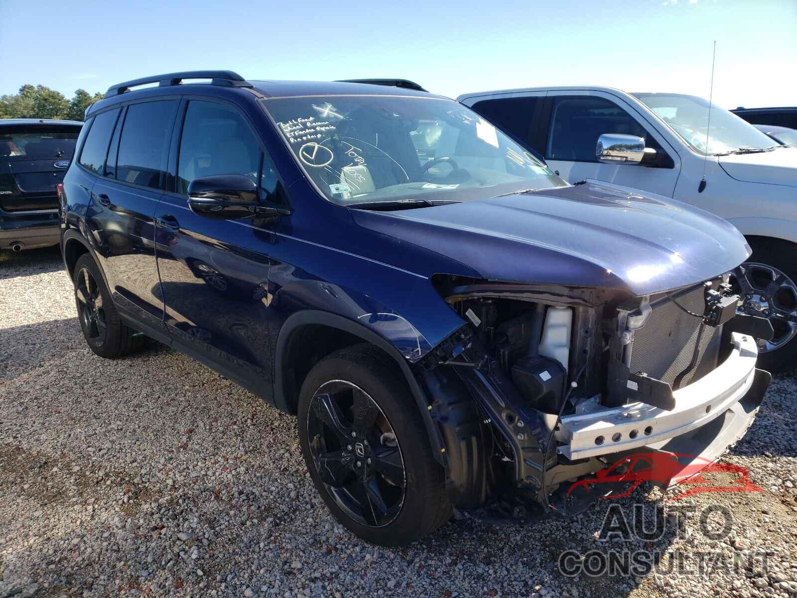 HONDA PASSPORT 2019 - 5FNYF8H02KB021330