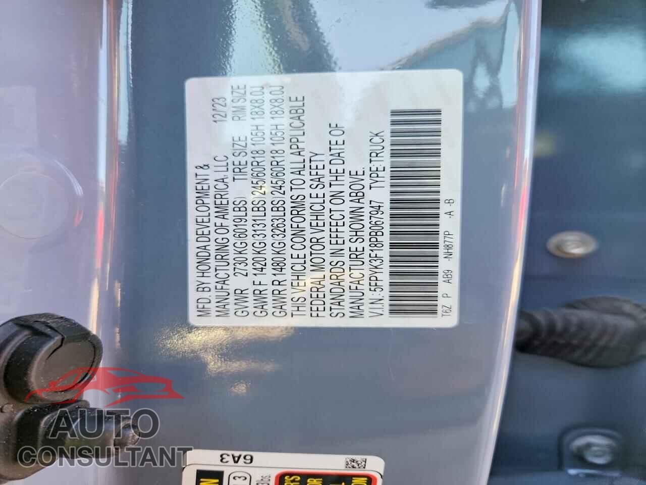 HONDA RIDGELINE 2023 - 5FPYK3F18PB067947