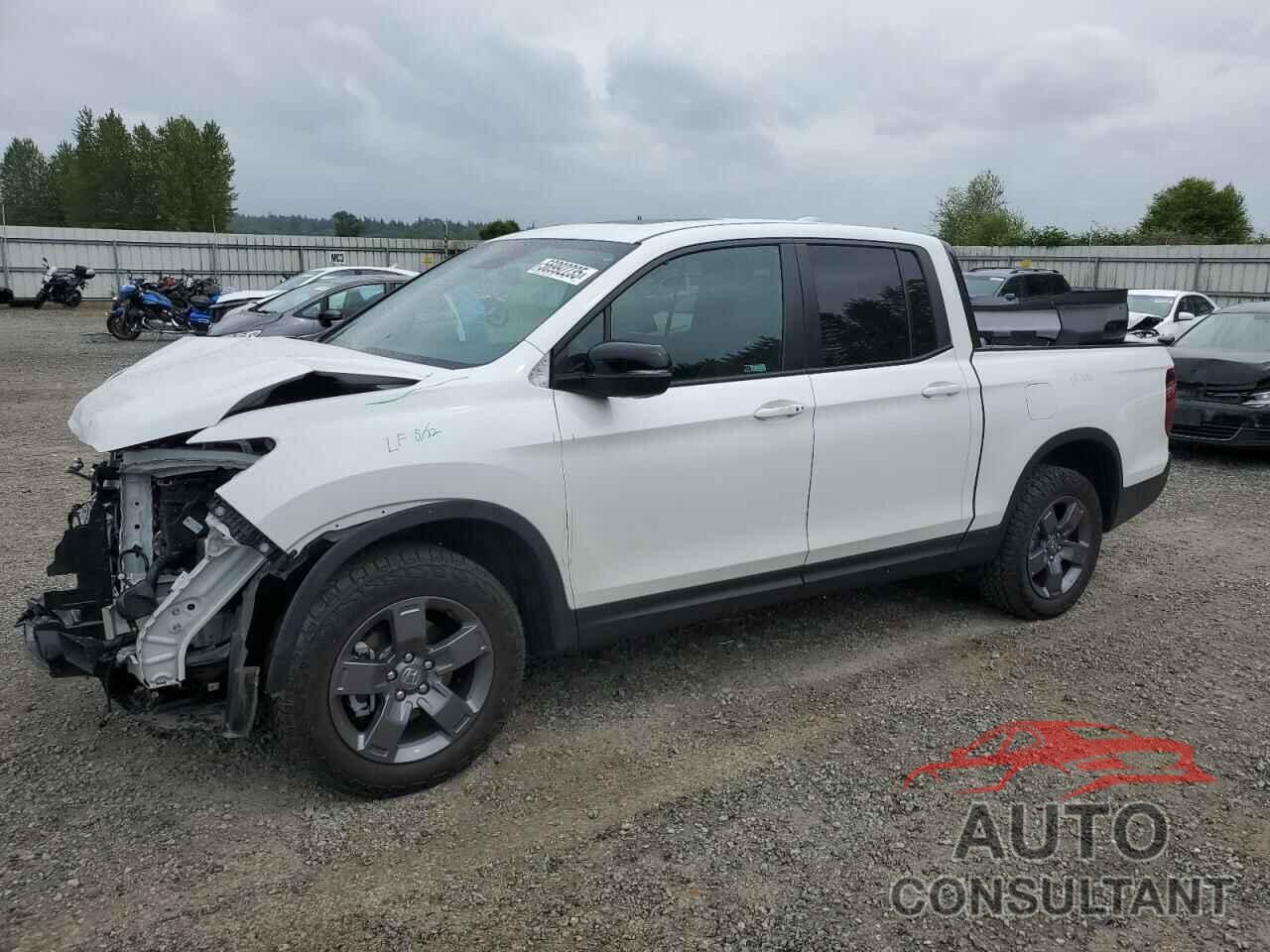 HONDA RIDGELINE 2024 - 5FPYK3F65RB009535