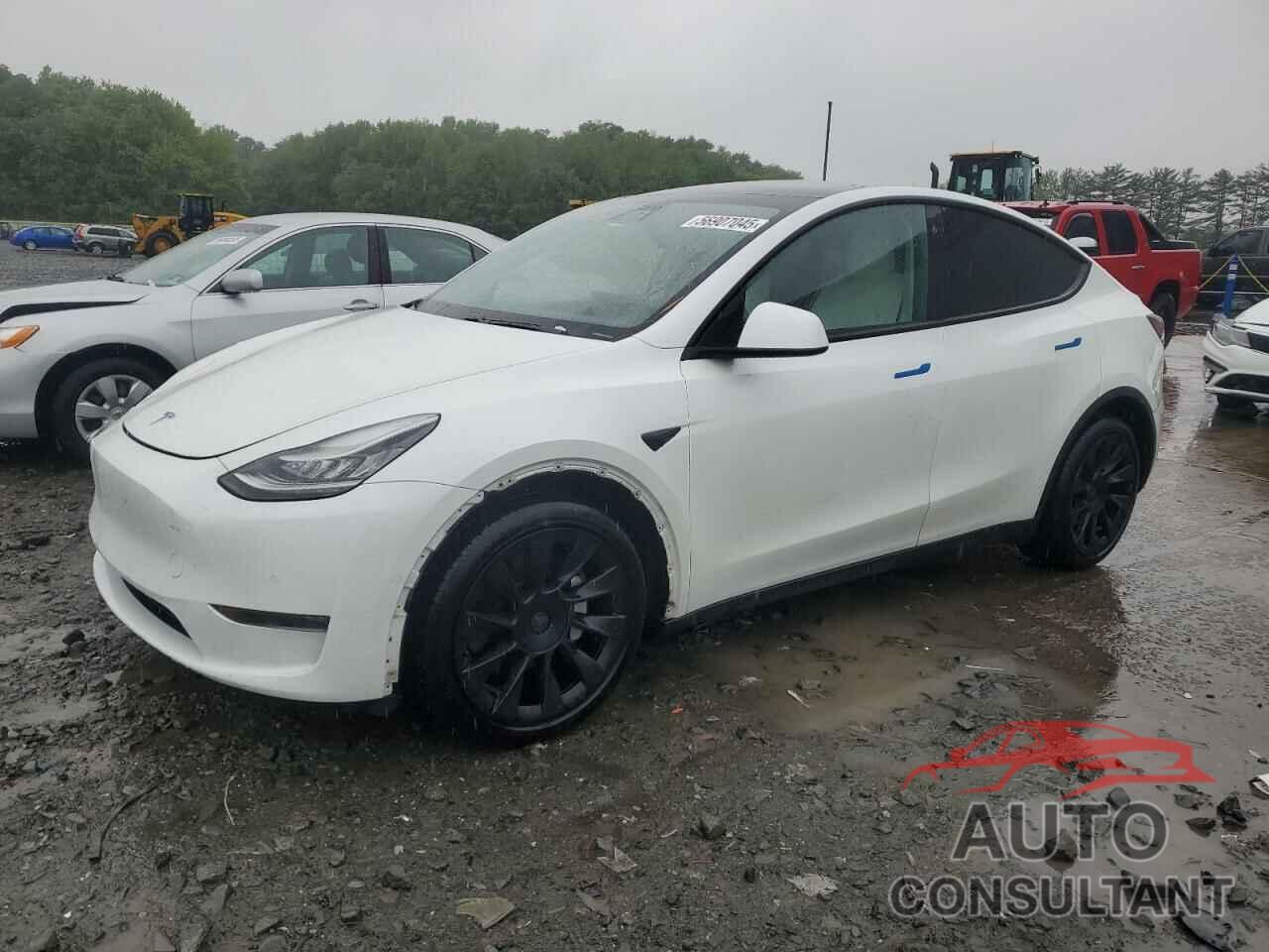 TESLA MODEL Y 2021 - 5YJYGDEE6MF068126