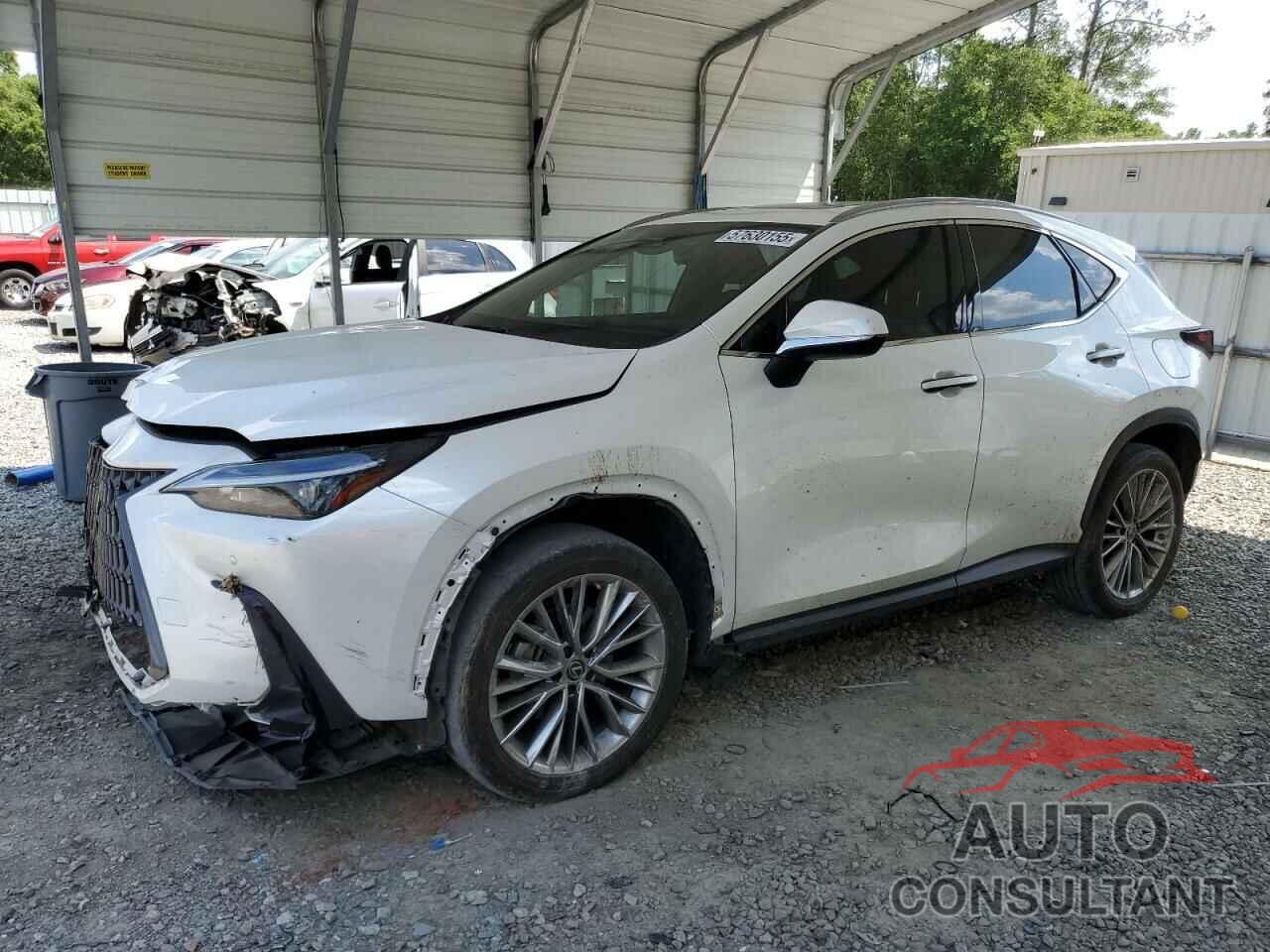 LEXUS NX 350 2022 - JTJGGCEZ2N5001032