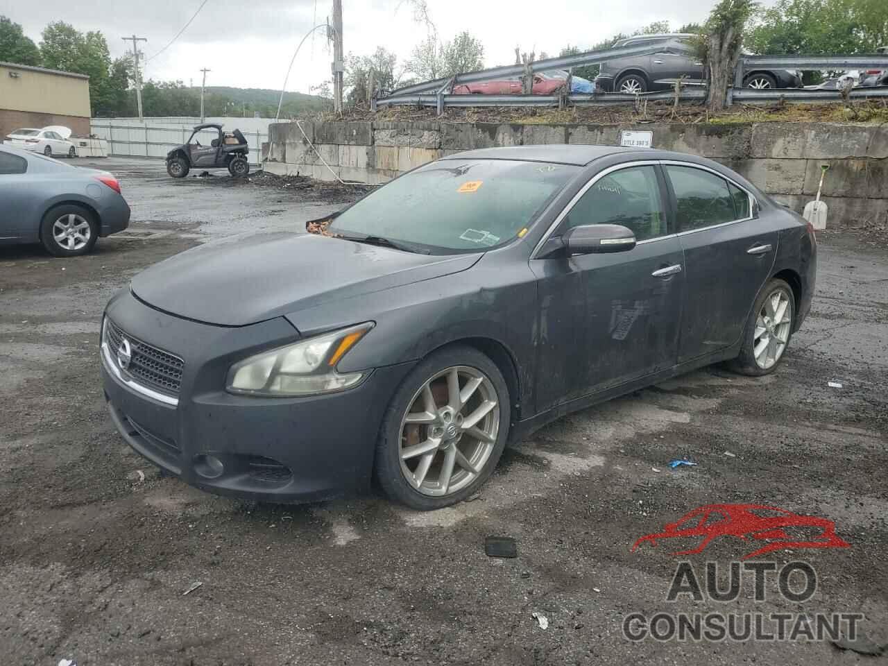 NISSAN MAXIMA 2011 - 1N4AA5AP0BC843570