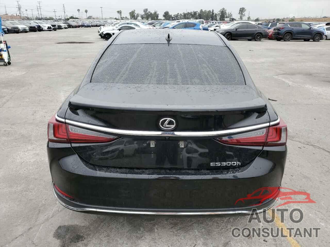LEXUS ES300 2024 - 58ADA1C17RU044547