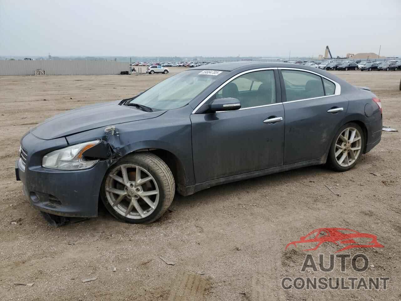 NISSAN MAXIMA 2009 - 1N4AA51E49C831740