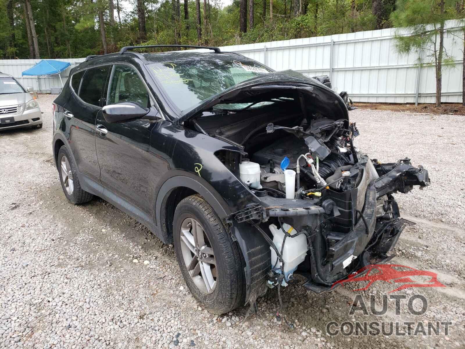 HYUNDAI SANTA FE 2017 - 5NMZUDLB3HH019959