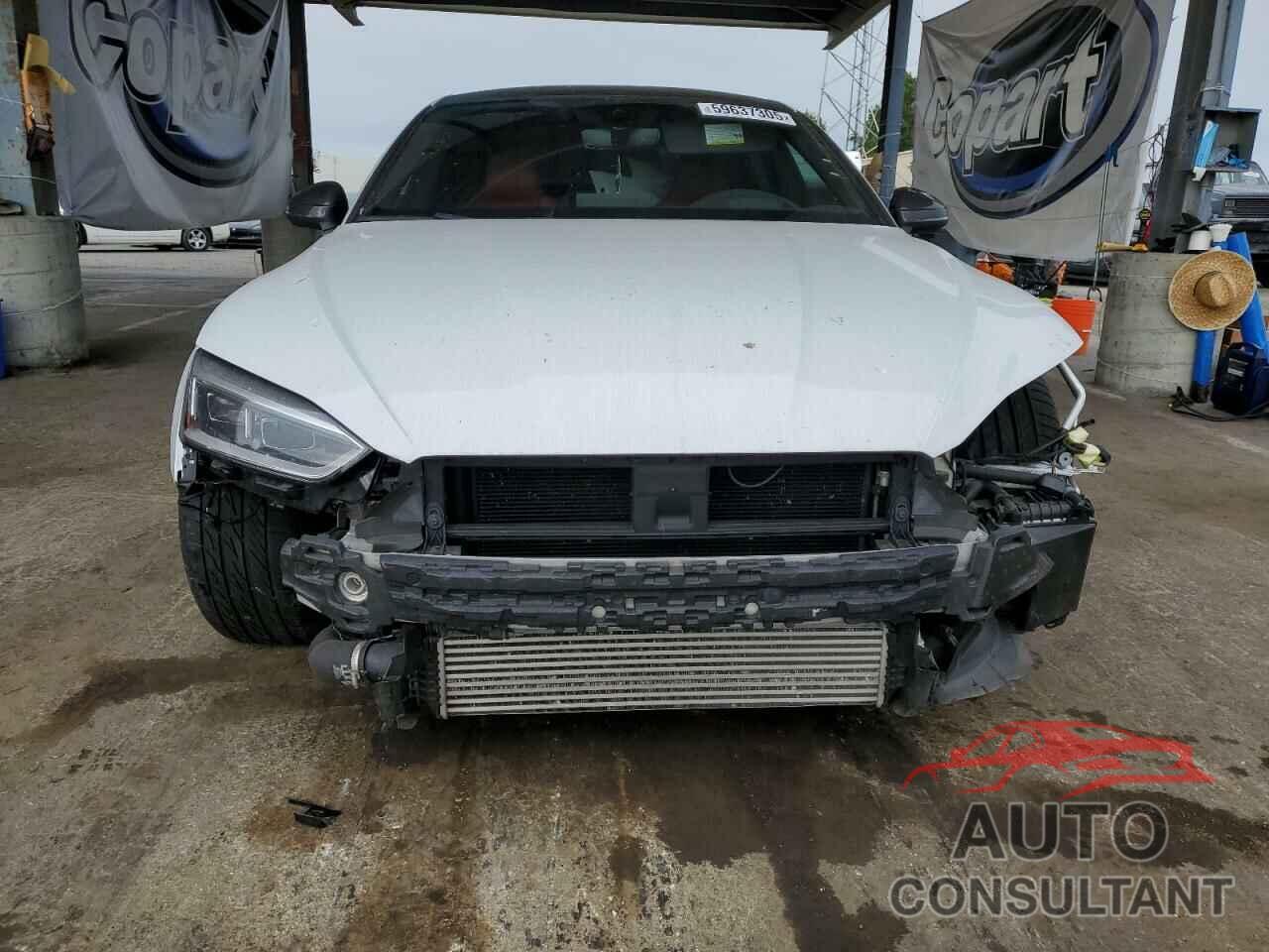 AUDI S5/RS5 2019 - WAUC4CF52KA081860