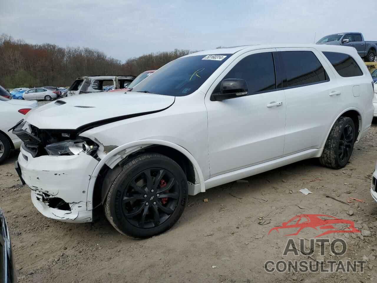 DODGE DURANGO 2019 - 1C4SDJCT8KC734489