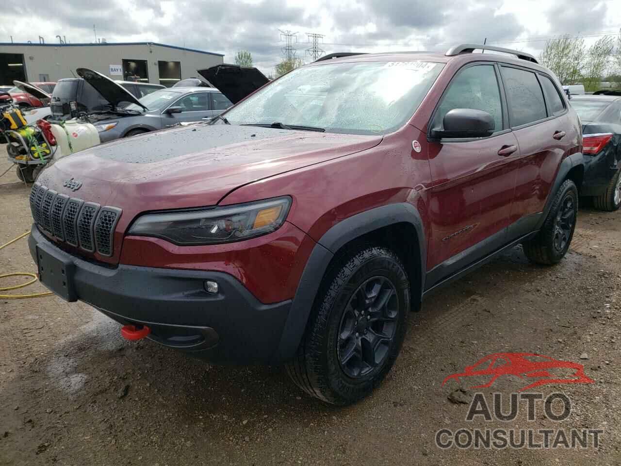 JEEP CHEROKEE 2019 - 1C4PJMBN5KD100828