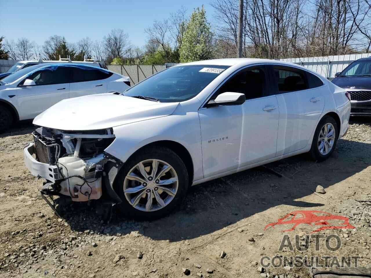 CHEVROLET MALIBU 2019 - 1G1ZD5ST7KF160644
