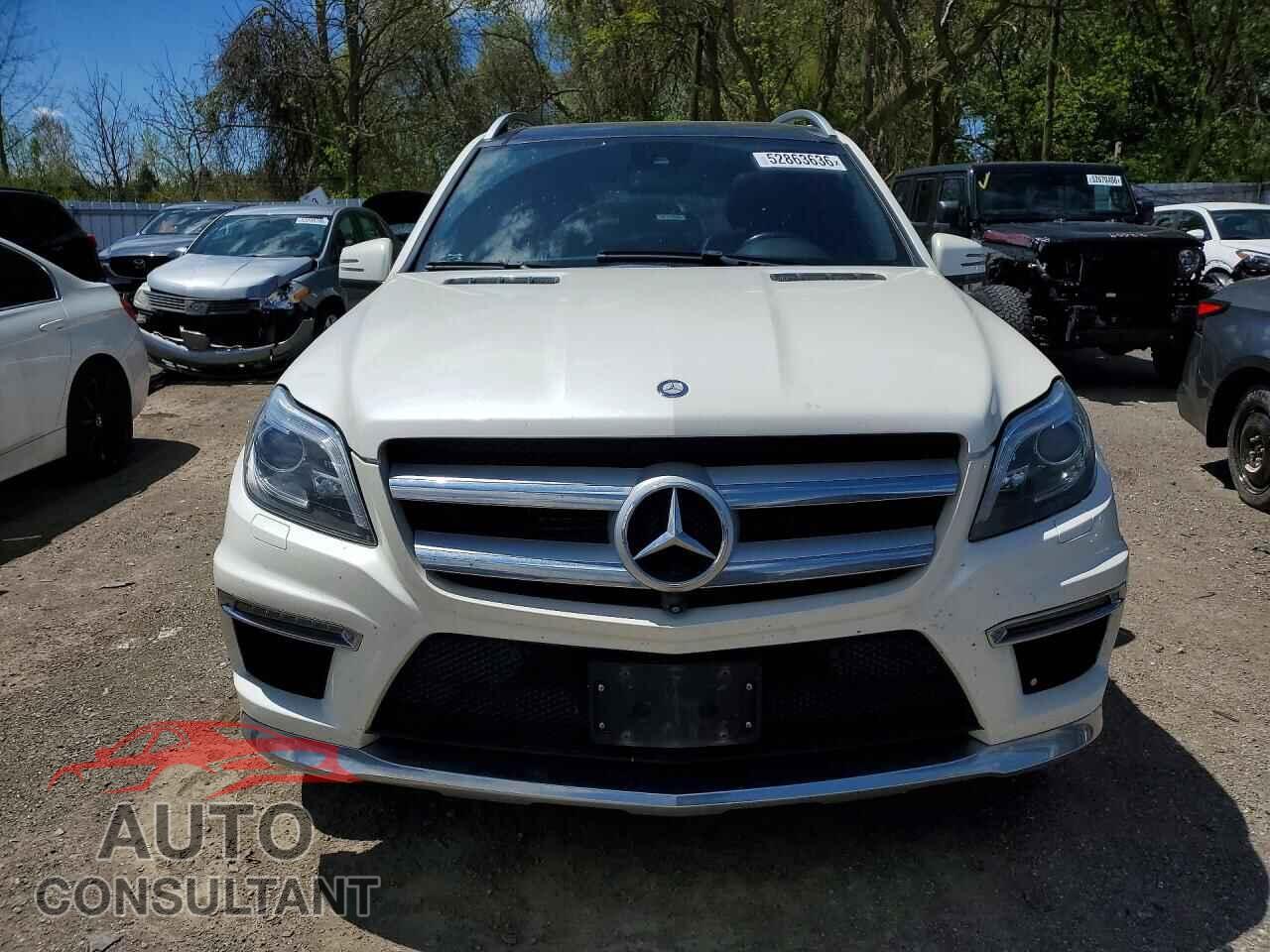 MERCEDES-BENZ GL-CLASS 2014 - 4JGDF2EEXEA425500