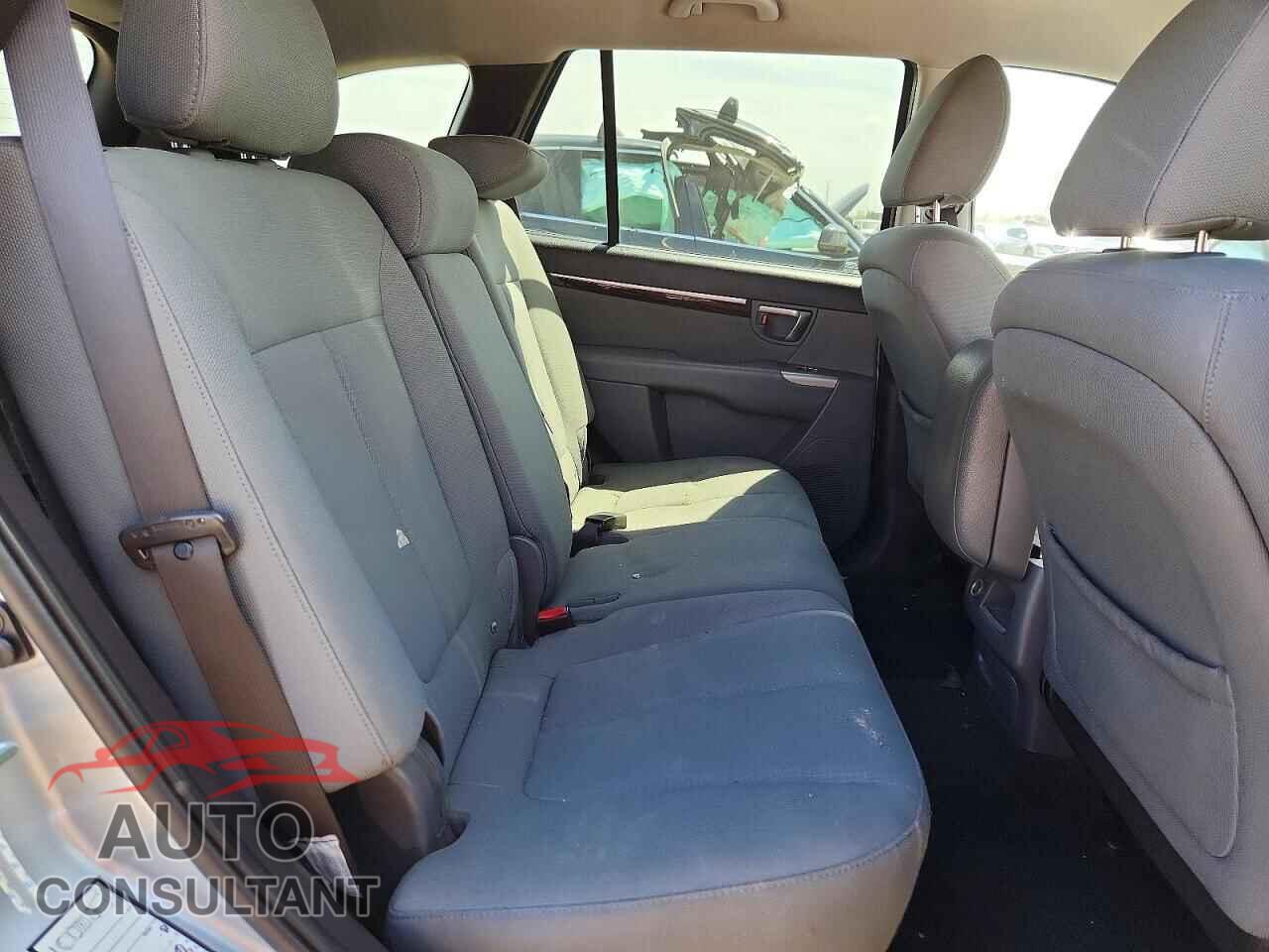 HYUNDAI SANTA FE 2010 - 5NMSGDAB5AH366646