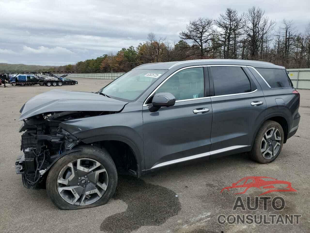 HYUNDAI PALISADE 2025 - KM8R44GE4SU908883