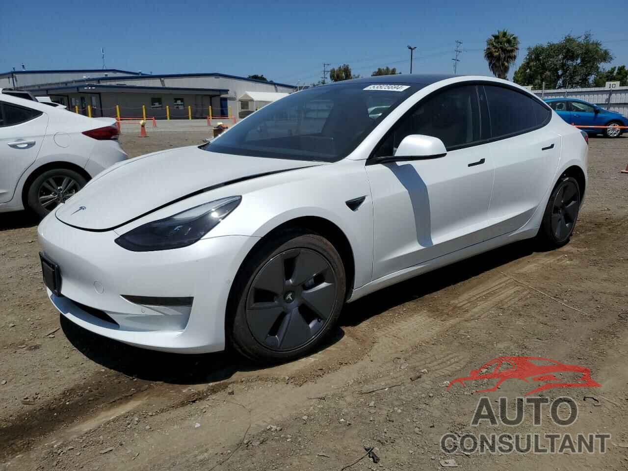 TESLA MODEL 3 2021 - 5YJ3E1EA5MF919974