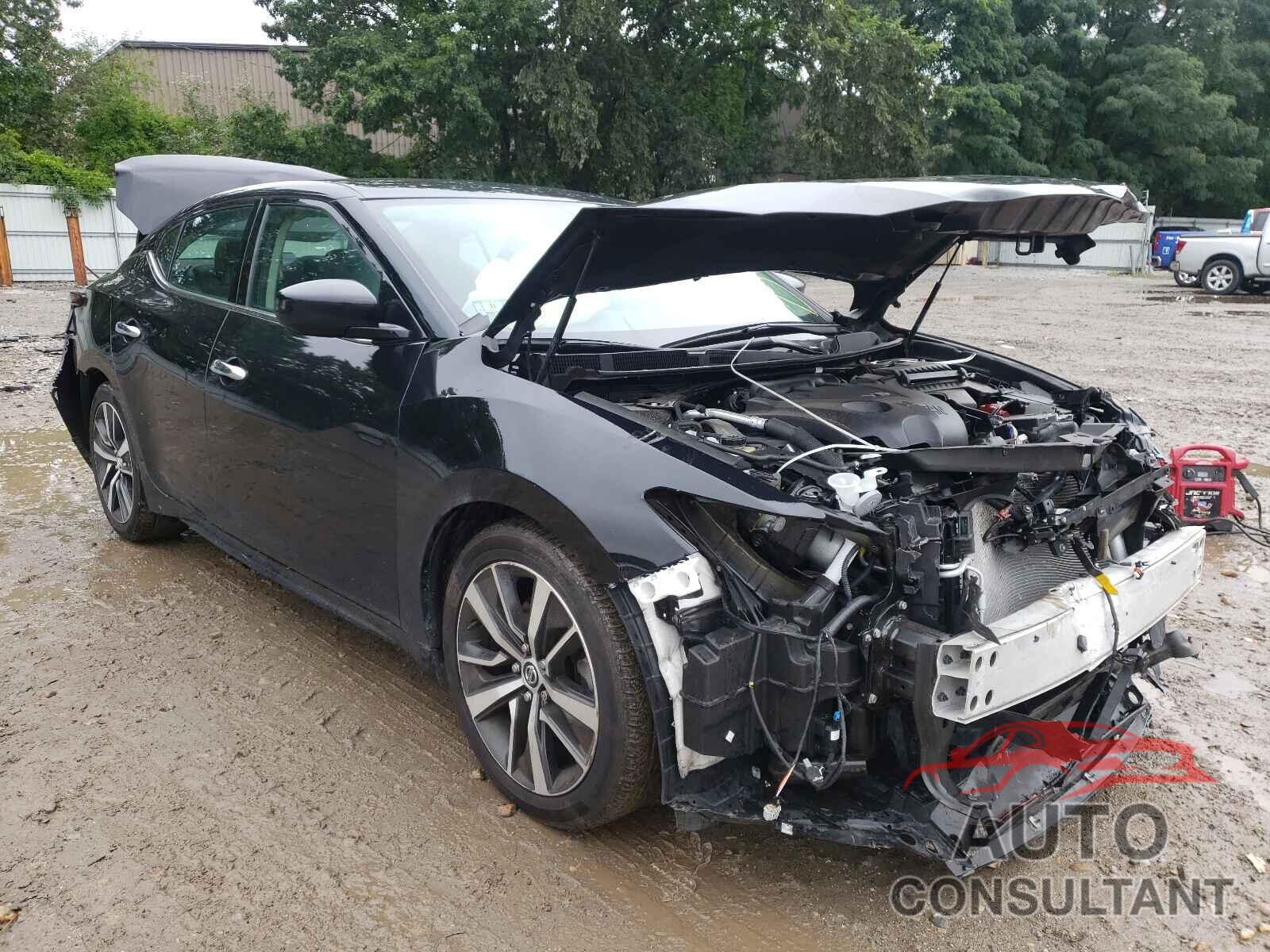 NISSAN MAXIMA 2019 - 1N4AA6AV9KC364035