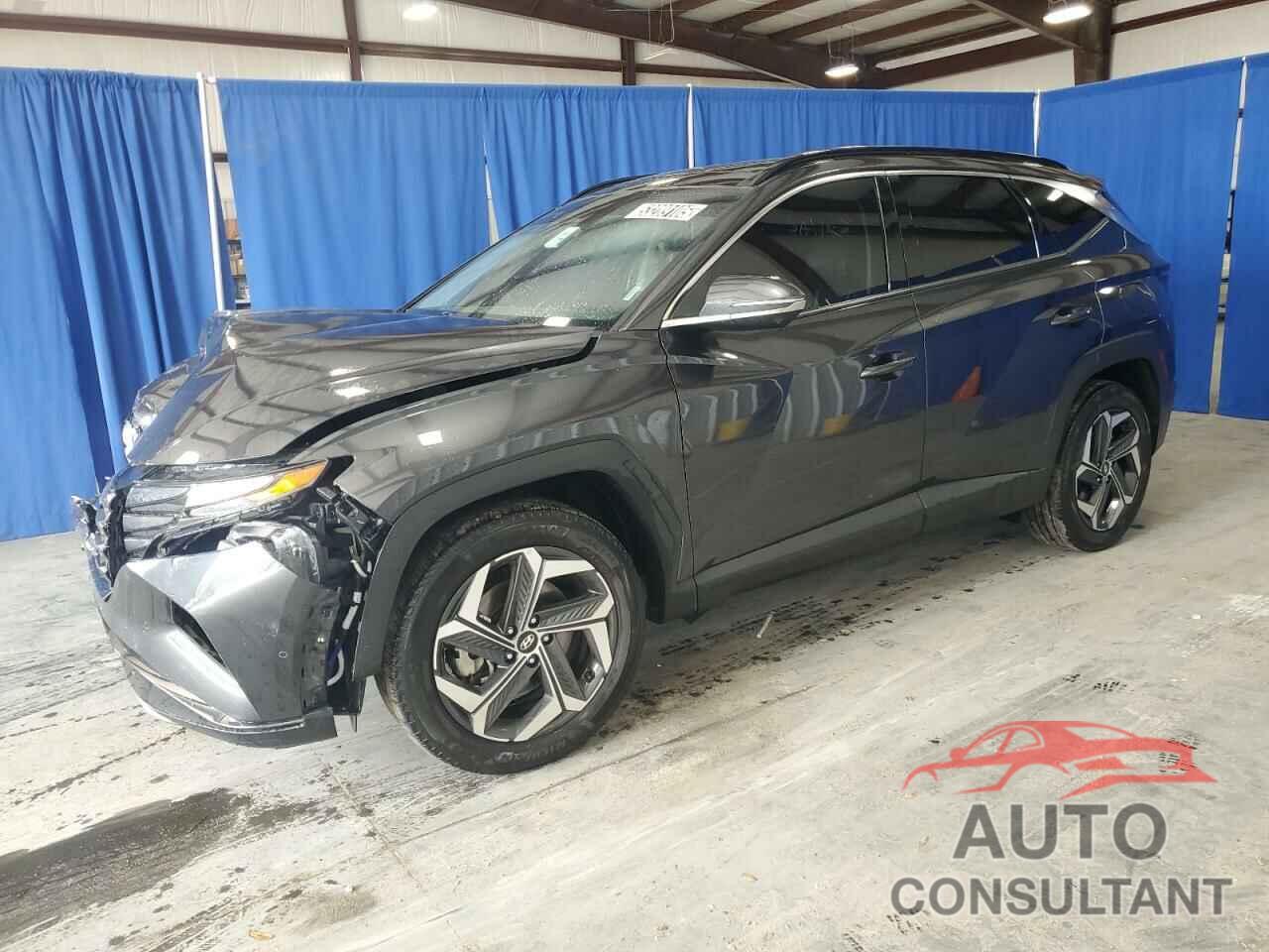 HYUNDAI TUCSON 2023 - 5NMJECAE5PH202912