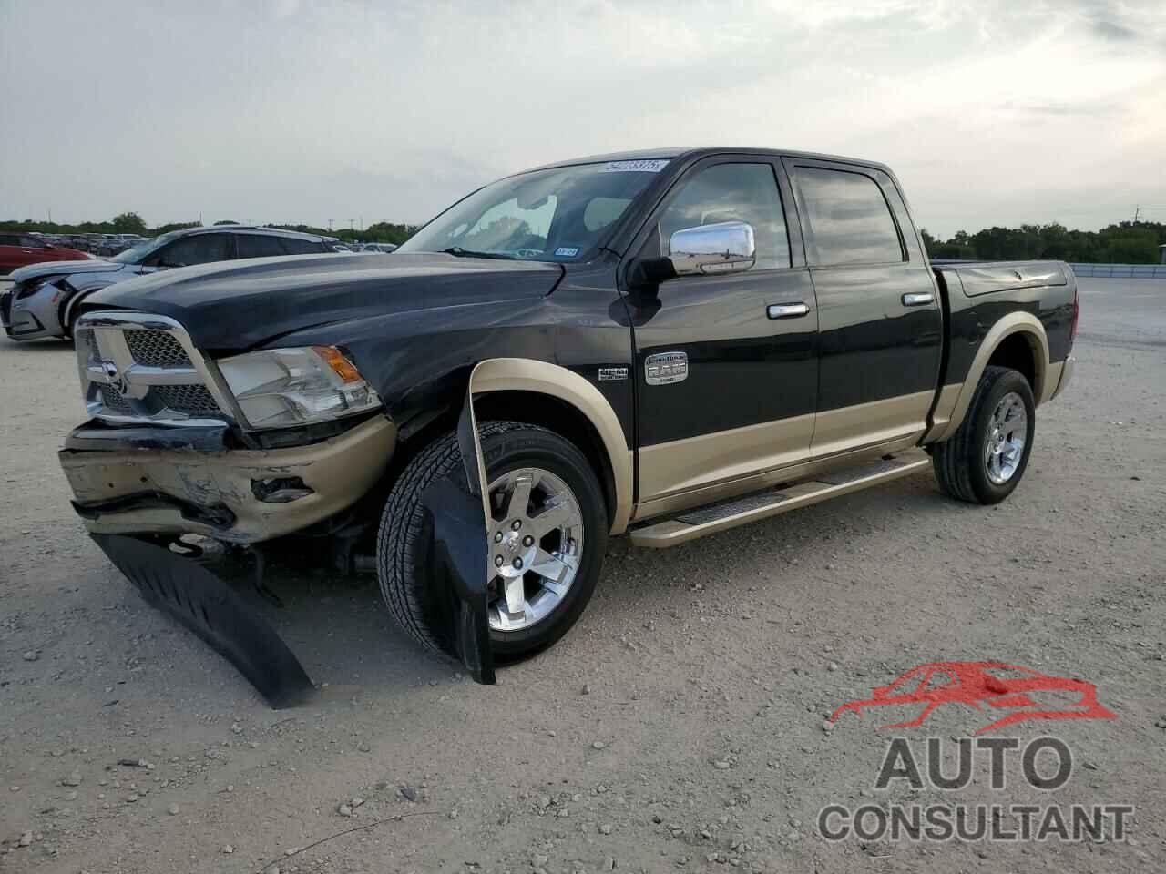 DODGE All Models 2011 - 1D7RV1CT4BS595226
