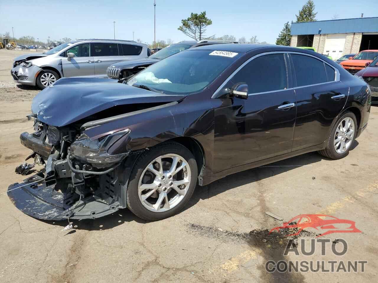 NISSAN MAXIMA 2013 - 1N4AA5AP7DC842449