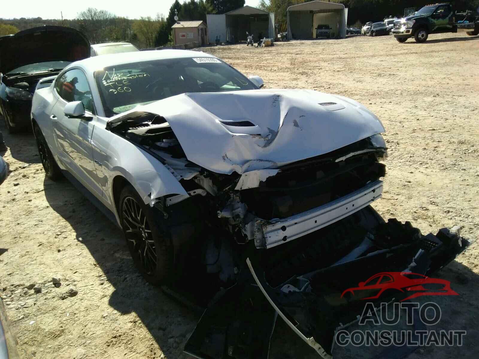 FORD MUSTANG 2019 - 1FA6P8CF4K5111456
