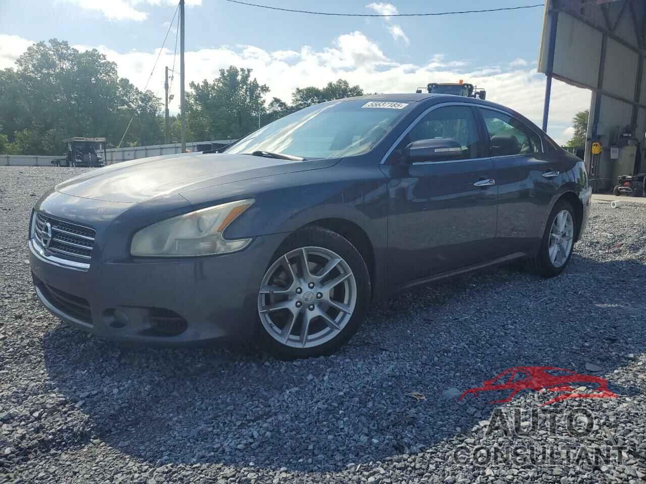 NISSAN MAXIMA 2009 - 1N4AA51EX9C805594