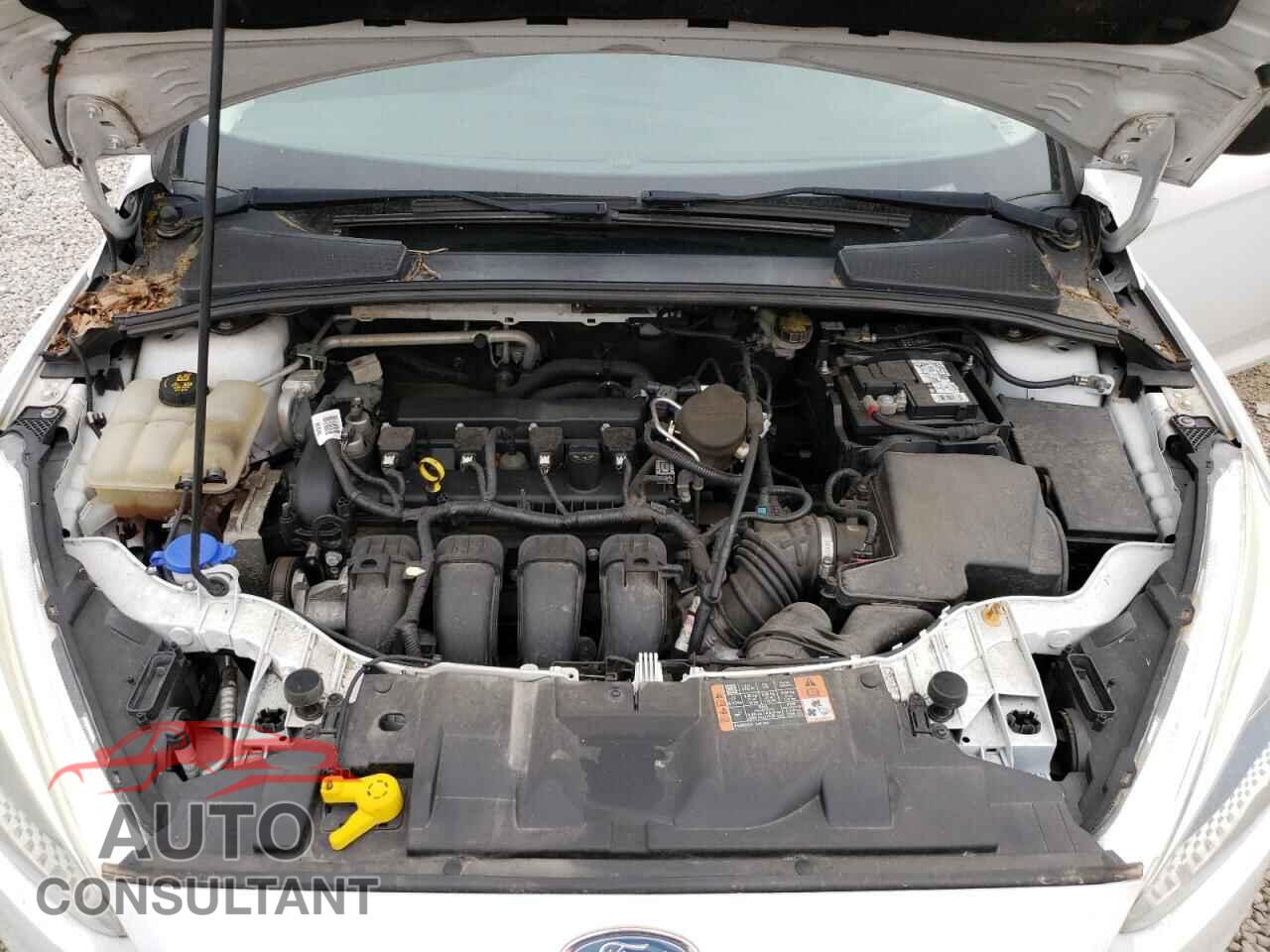 FORD FOCUS 2015 - 1FADP3E28FL304456