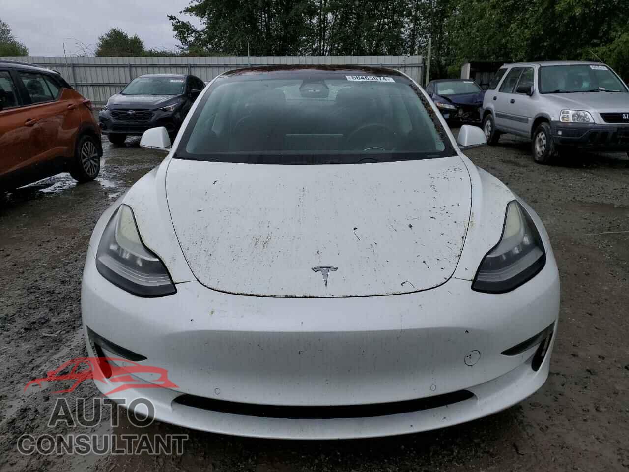 TESLA MODEL 3 2017 - 5YJ3E1EA7HF000824