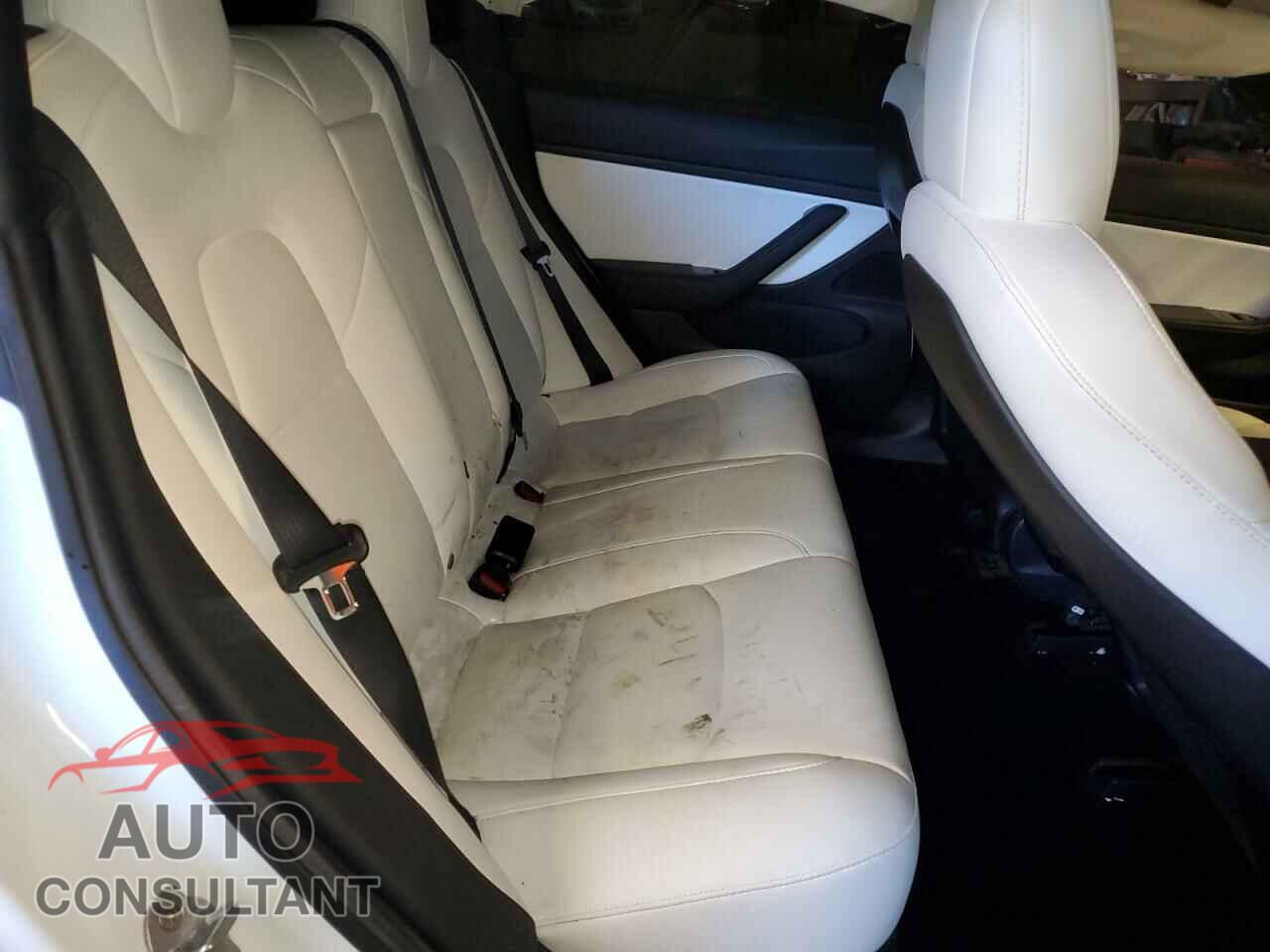 TESLA MODEL 3 2019 - 5YJ3E1EA1KF431876