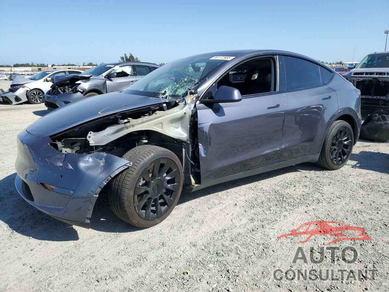 TESLA MODEL Y 2021 - 5YJYGDEE2MF296446