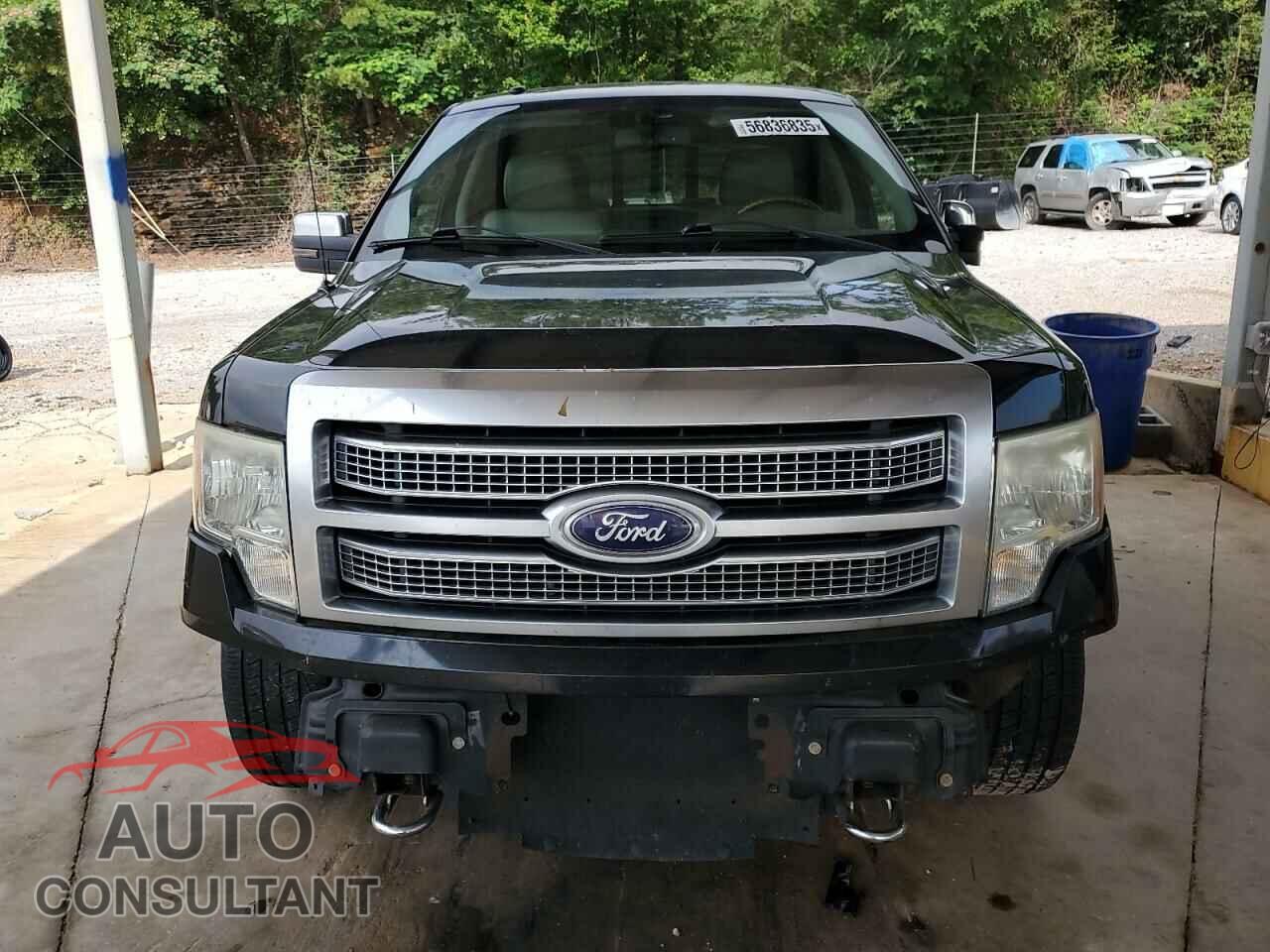 FORD F-150 2010 - 1FTFW1EV8AFA56561