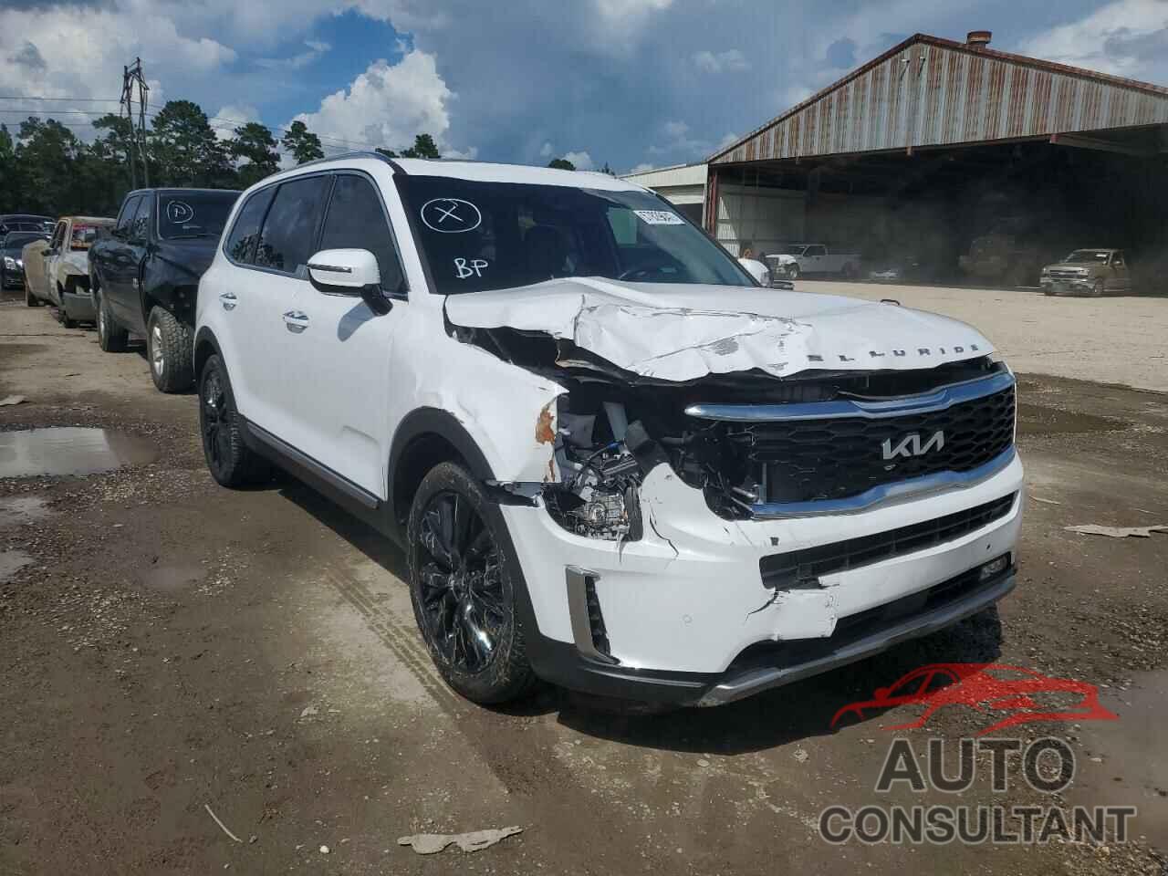 KIA TELLURIDE 2022 - 5XYP54HC9NG220048