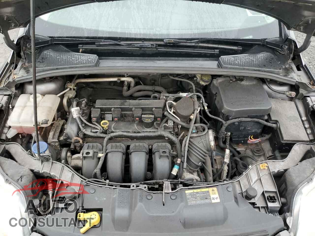 FORD FOCUS 2014 - 1FADP3F24EL243345