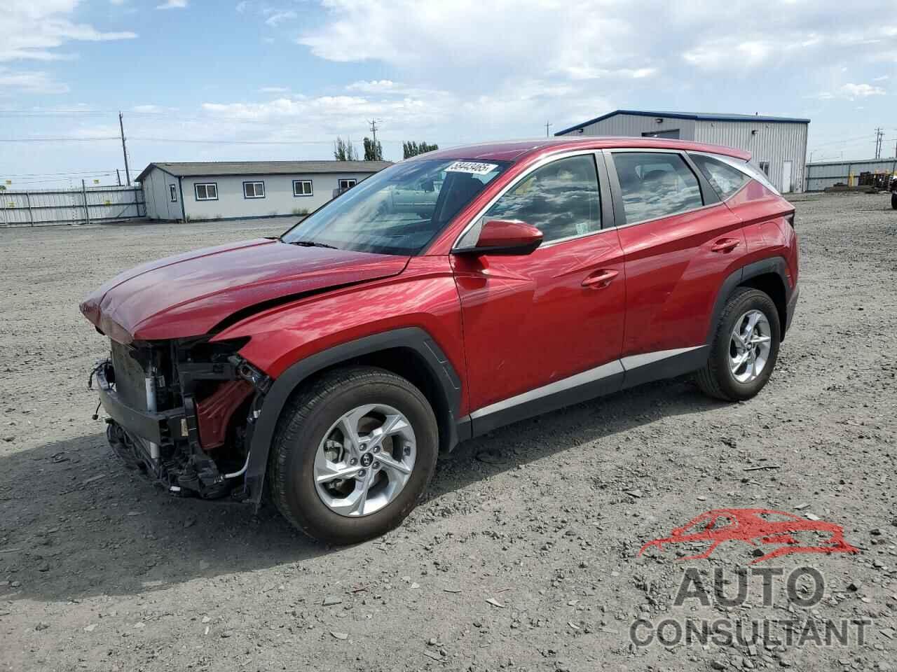 HYUNDAI TUCSON 2024 - 5NMJACDE0RH410173